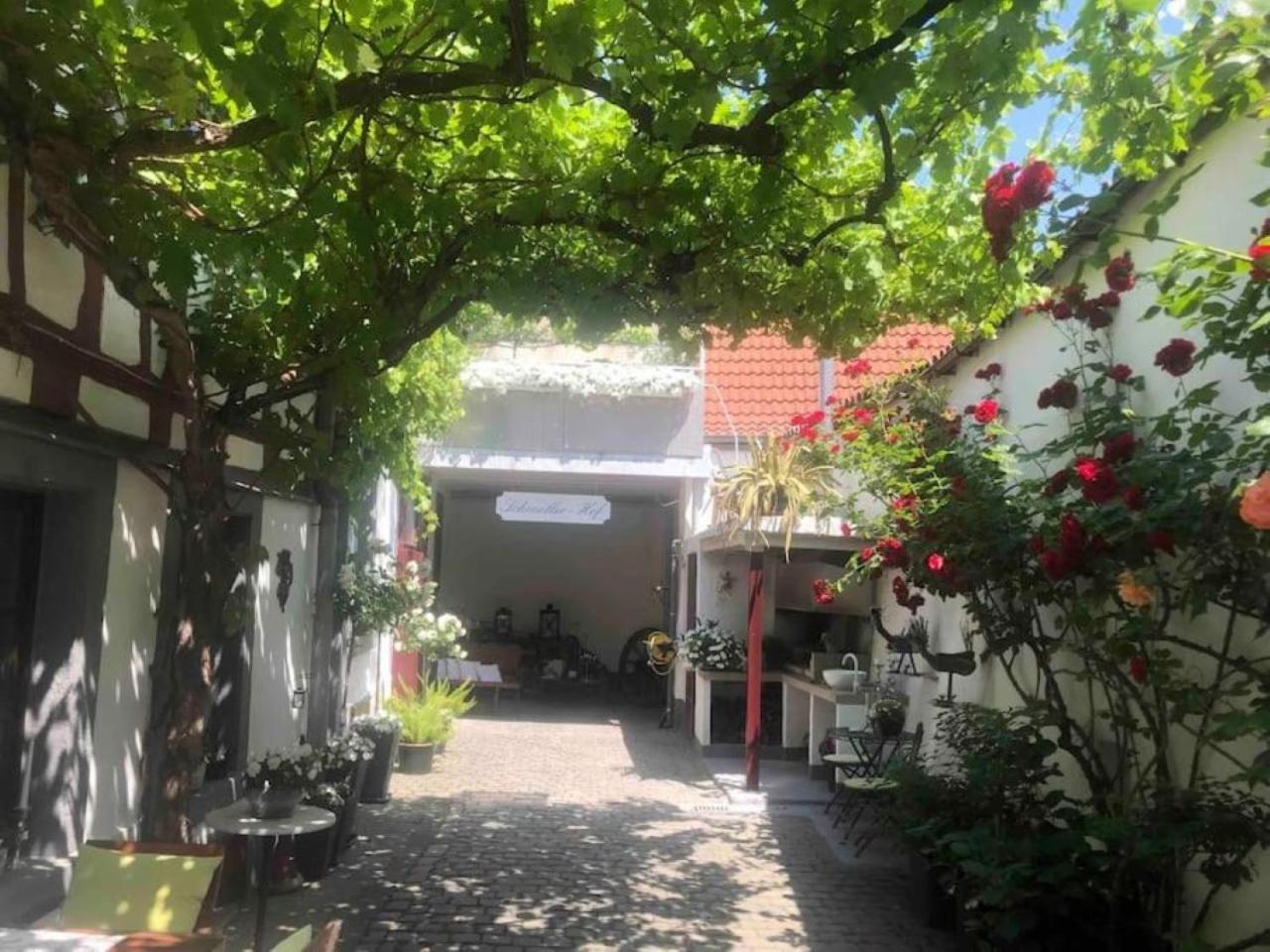 Apartment Im 'schmoller - Hof' Neustadt an der Weinstrasse